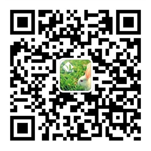 微信公众号